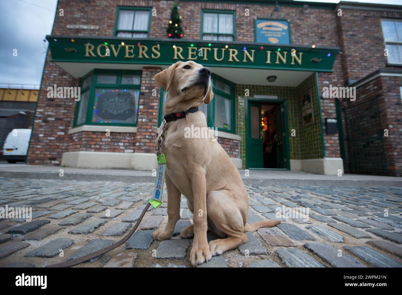 10/11/15 ***KOSTENLOSES FOTO FÜR REDAKTIONELLE ZWECKE*** Clover Outside the Rovers Return. ITV der Guide Hündchen Clover von heute Morgen erkundet das Set und trifft sich Stockfoto