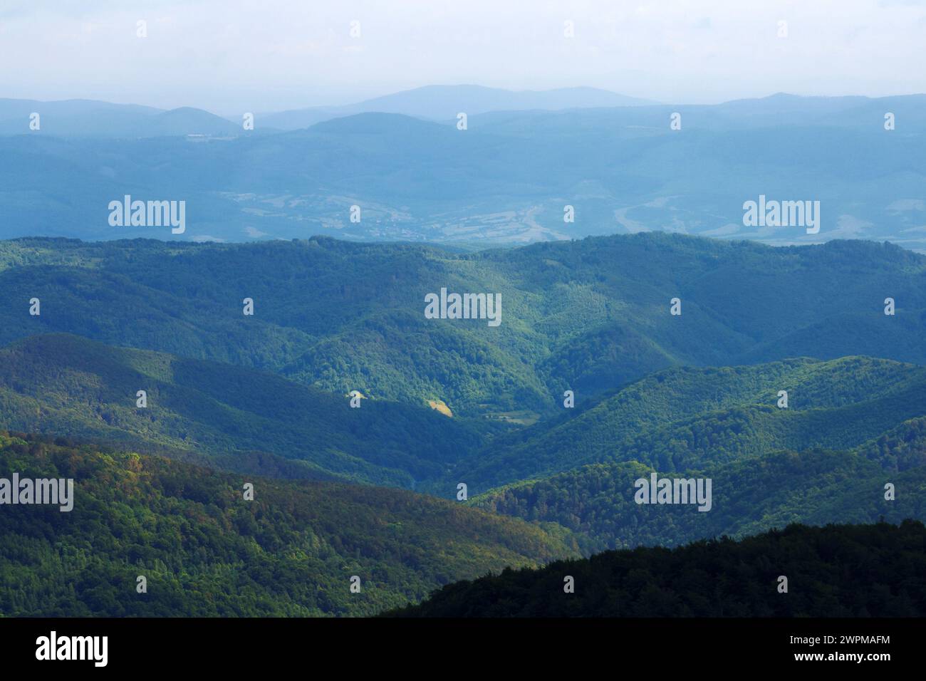 Hügelige Berglandschaft im Sommer. Naturhintergrund im Morgenlicht Stockfoto