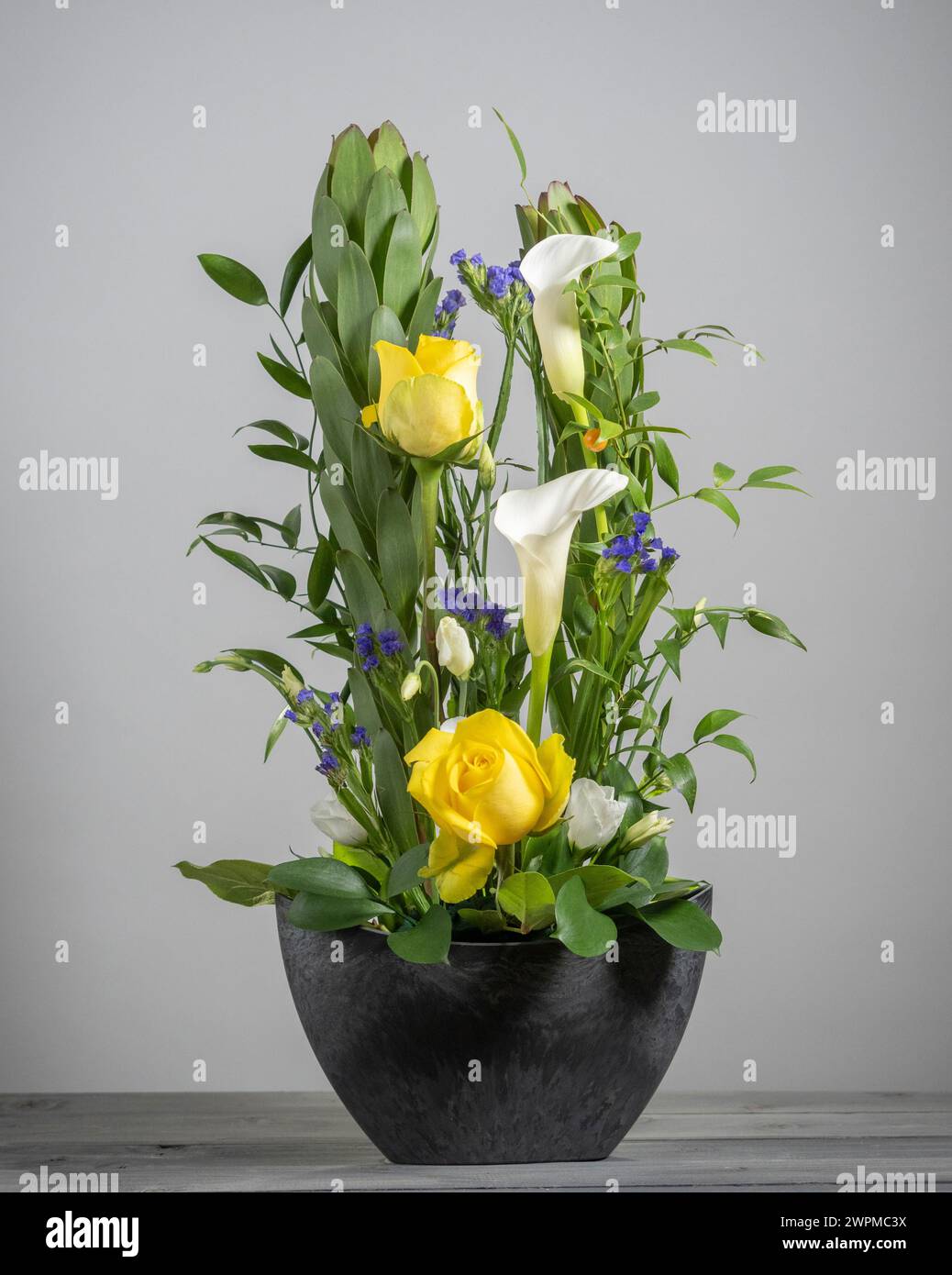 Blumenanordnung aus gelben Rosen, weißen Calla-Lilien, violettem statice und grünem Proteas auf grauem Hintergrund. Stockfoto