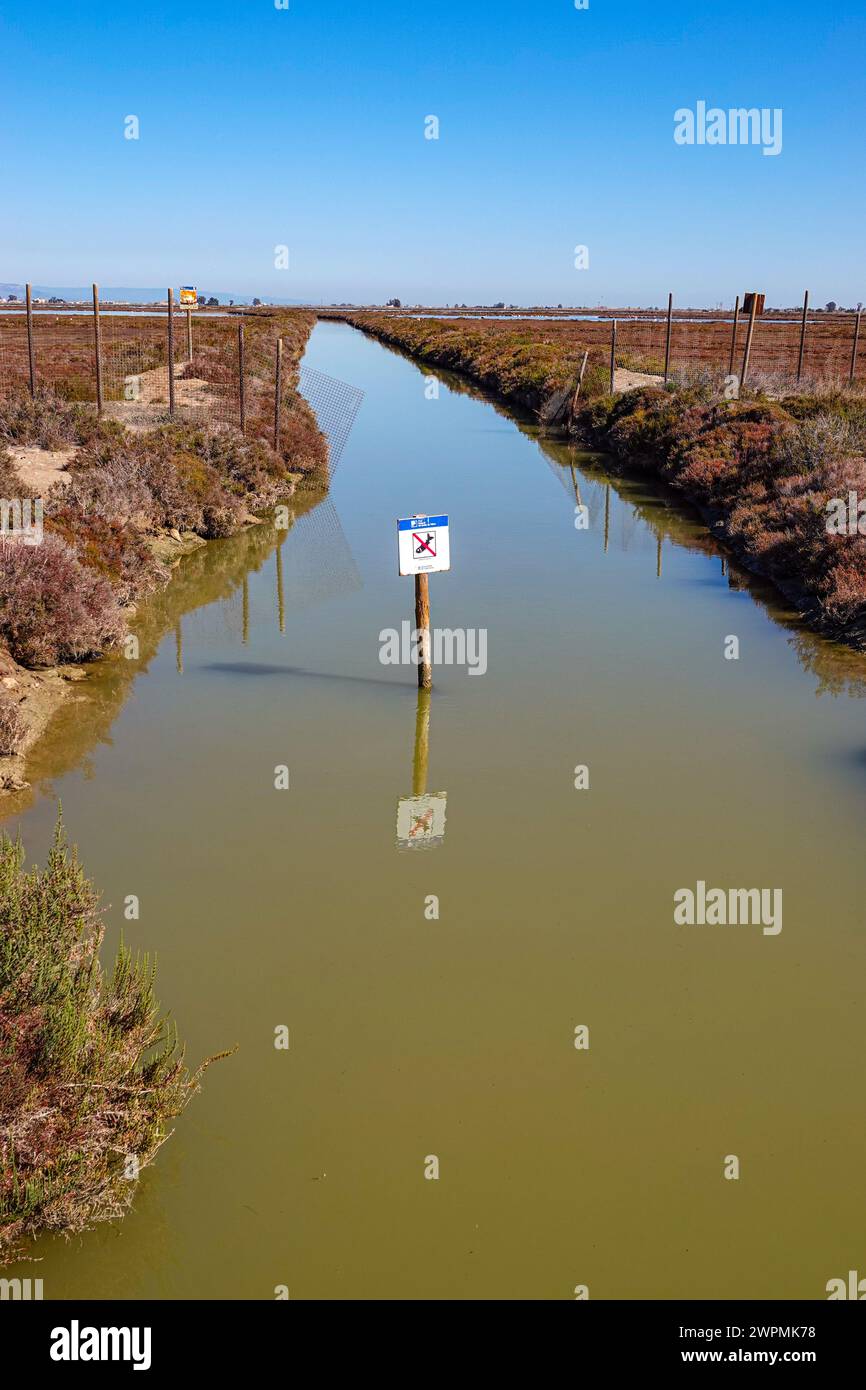 Feuchtgebiete und Bewässerung im Ebro-Delta, Ebro Rives, Riu Ebro, Katalonien, Katalonien, Spanien Stockfoto