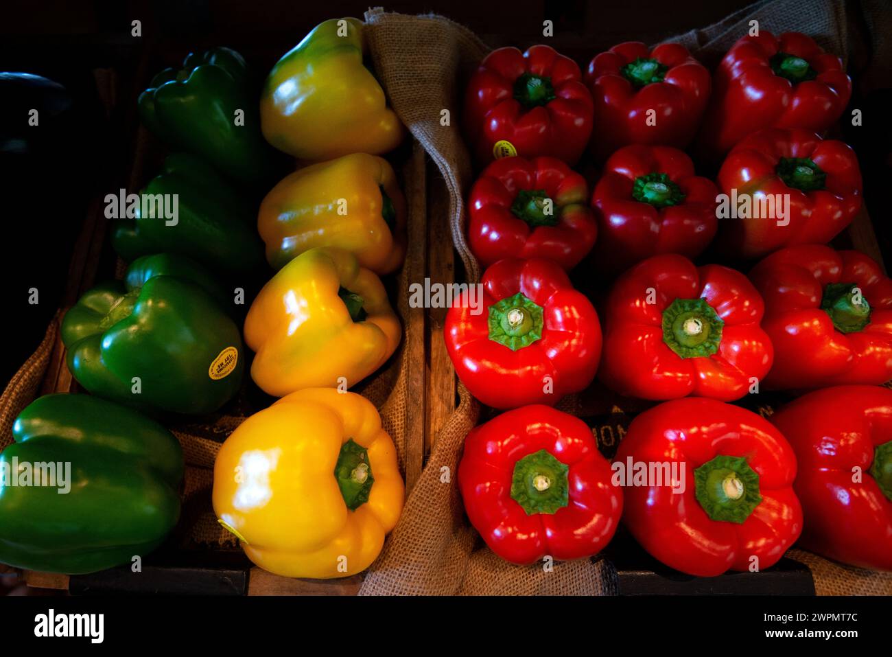 Nahaufnahme Grüne, gelbe und rote Paprika Stockfoto