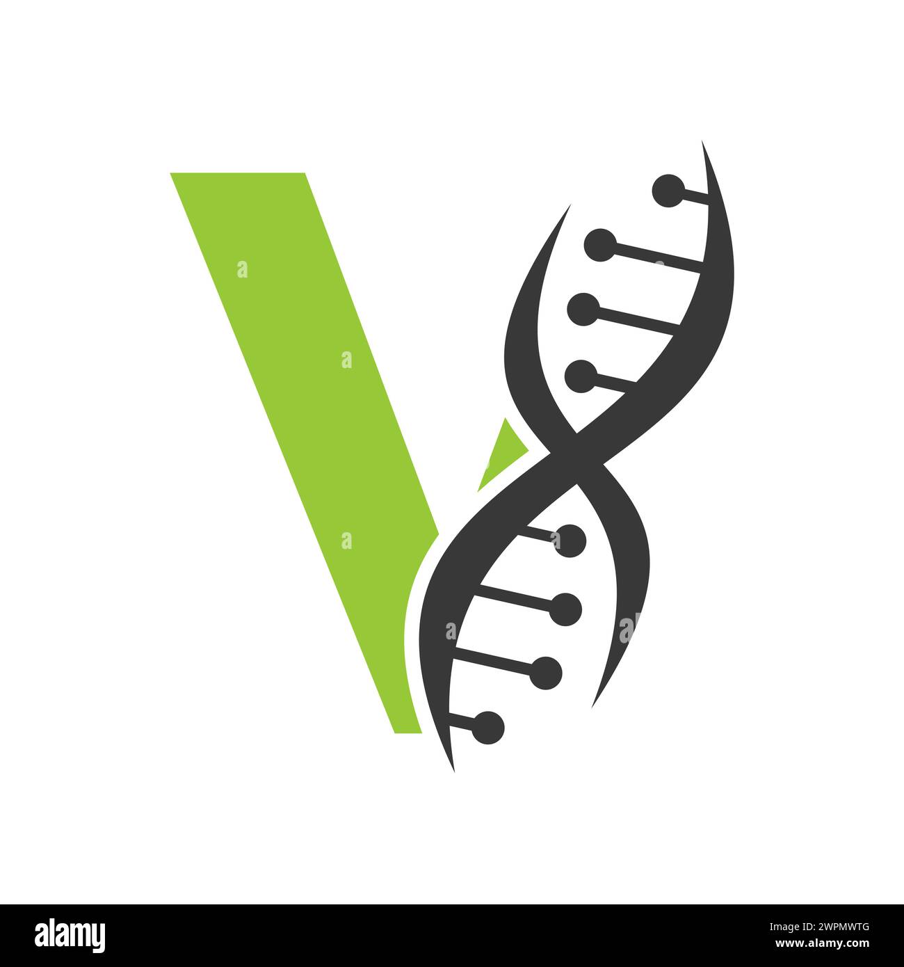 DNA-Logo auf Buchstabe V Vektorvorlage für Gesundheitssymbol Stock Vektor