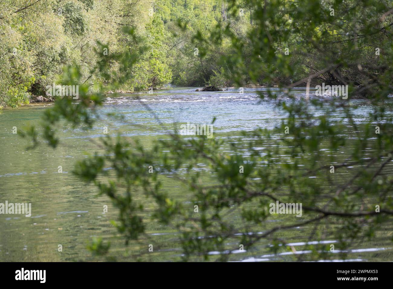 Cetina, Zetina, Fluss in Kroatien, Region Dalmatien, Unterlauf Stockfoto
