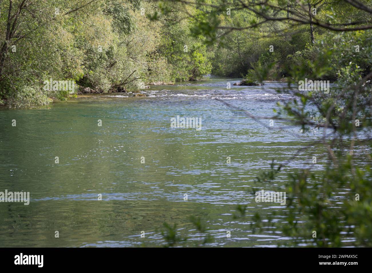 Cetina, Zetina, Fluss in Kroatien, Region Dalmatien, Unterlauf Stockfoto