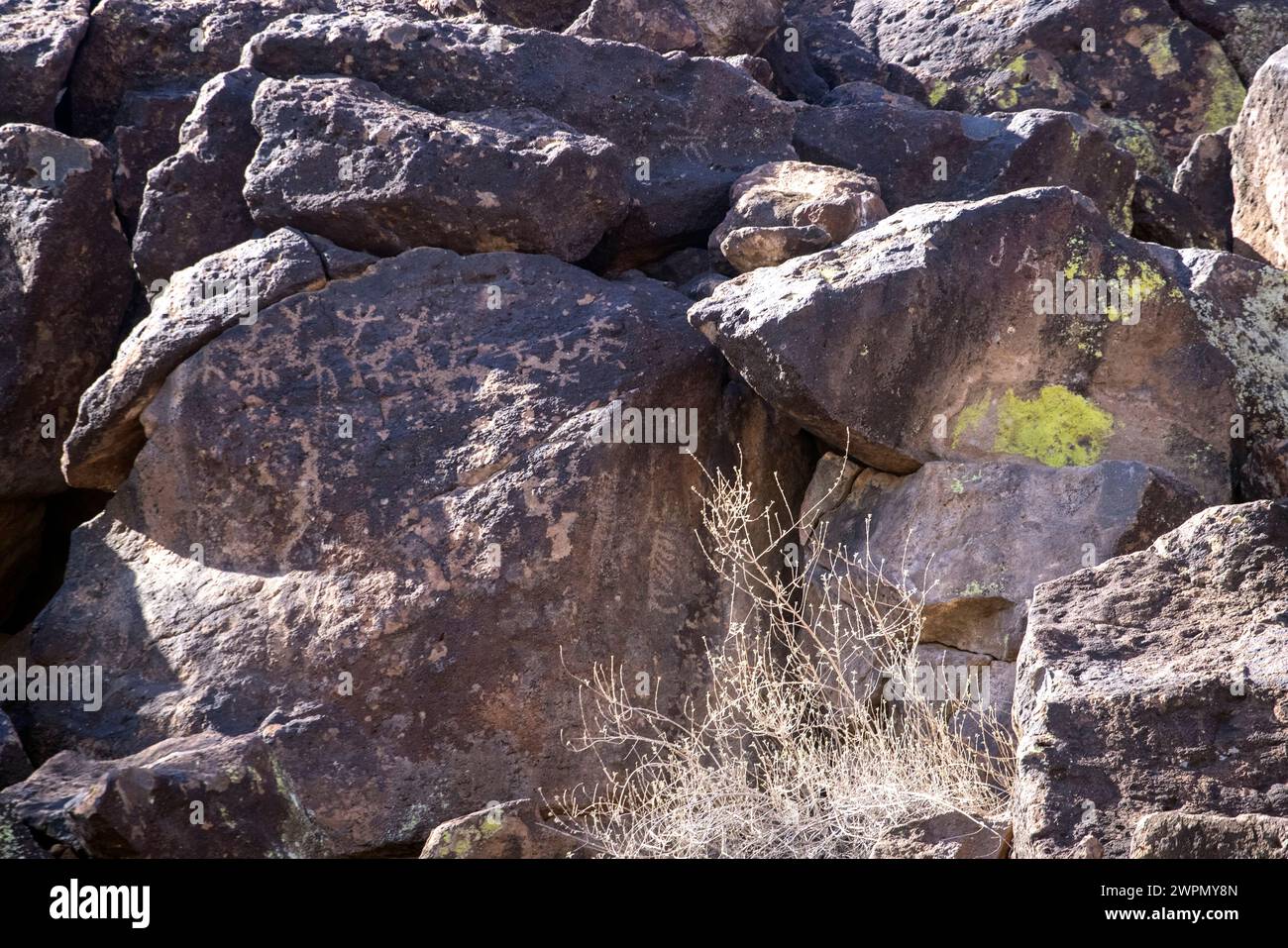 Deer Valley Petroglyph Preserve in Phoenix, Arizona. Arizona State University, ASU Stockfoto