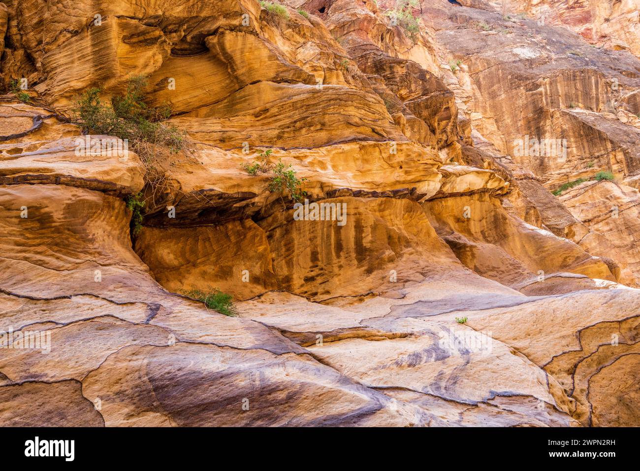 Wanderweg im Wadi Ghuweir in Dana, Jordanien, Nahost, Asien Stockfoto