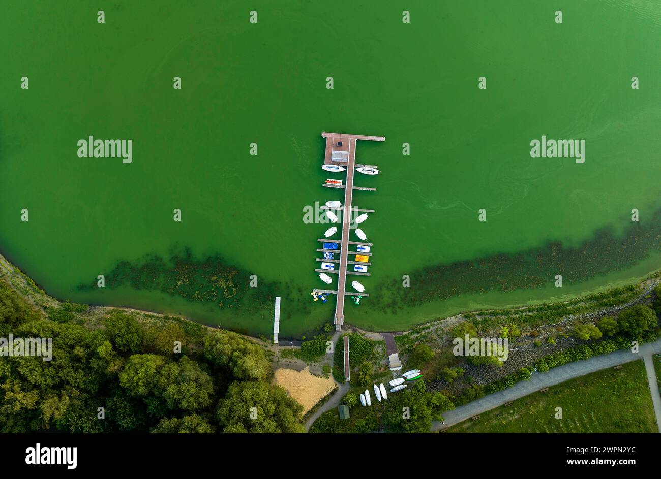 Drohnenfotopanorama, Zeulenroda-Triebes-Staudamm, Zeulenroda, Thüringen, Deutschland Stockfoto