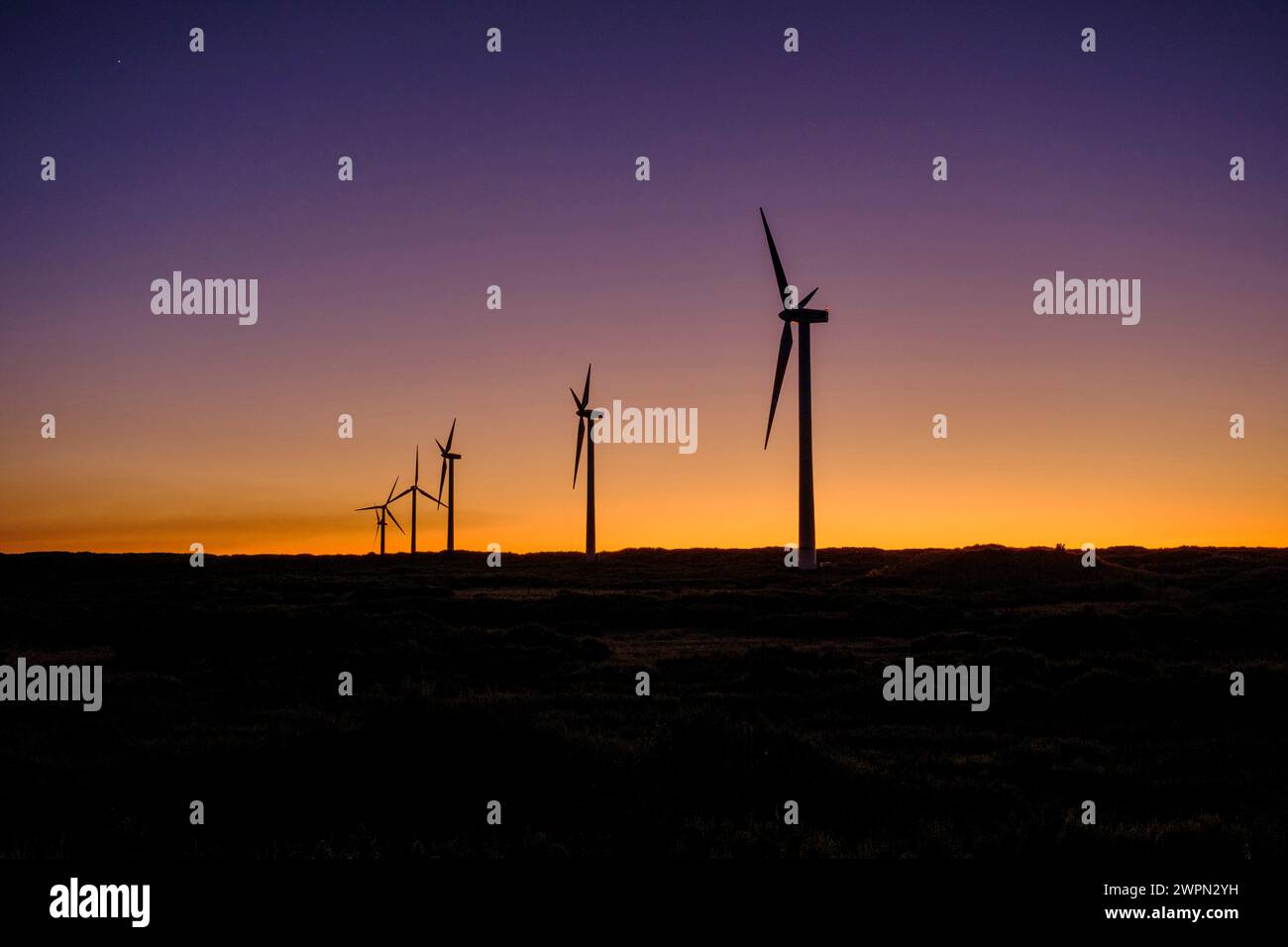 Windturbinen nach Sonnenuntergang im Hochland, Santa do Paul da Serra, Madeira, Portugal, Europa Stockfoto