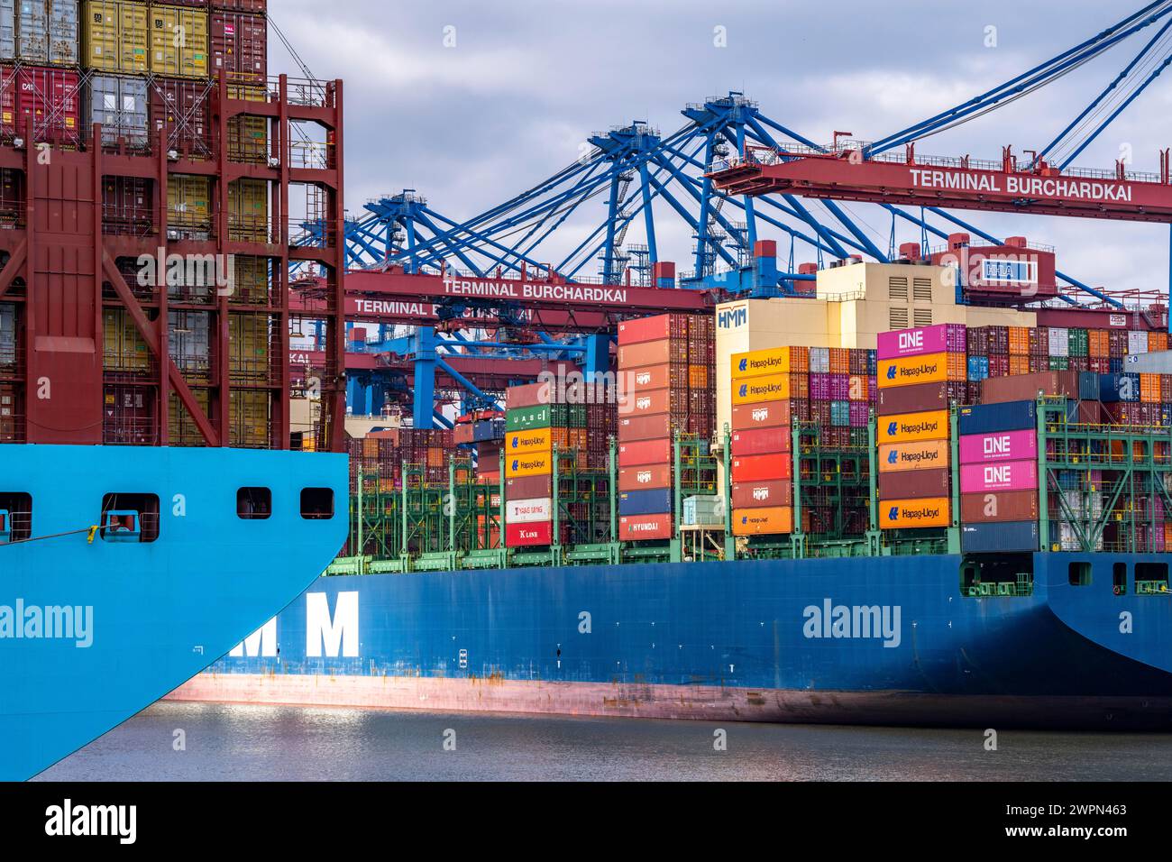 Magleby Maersk Containerfrachter am EUROGATE Containerterminal, Waltershofer Hafen, eines der größten Containerschiffe der Welt, Kapazität von 18 Stockfoto