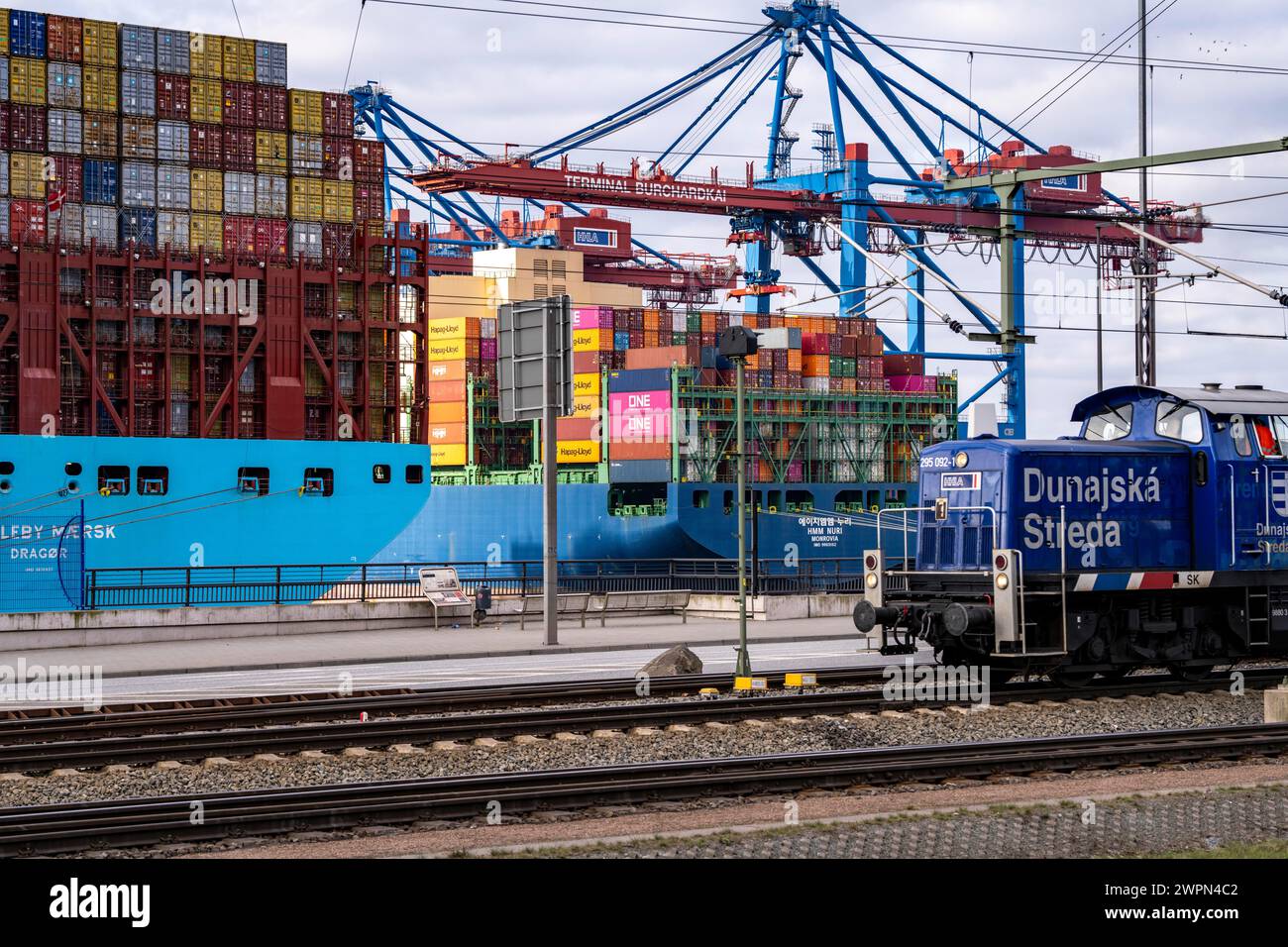Hamburger Hafen, Waltershofer Hafen, Containerschiffe, Güterzug bringt und holt Frachtcontainer zum und vom HHLA Containerterminal Burchar Stockfoto