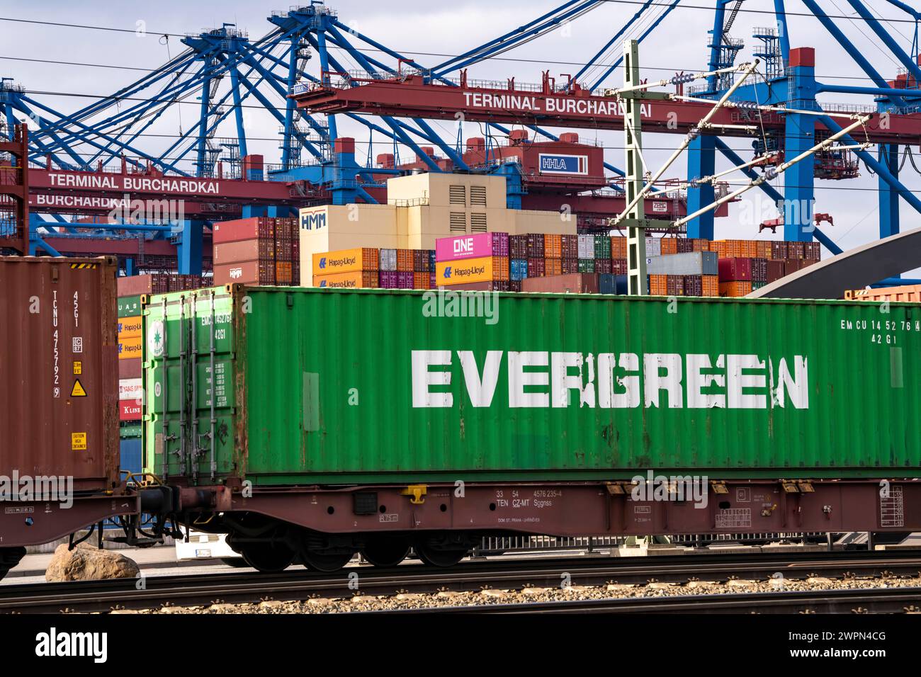 Hamburger Hafen, Waltershofer Hafen, Containerschiffe, Güterzug bringt und holt Frachtcontainer zum und vom HHLA Containerterminal Burchar Stockfoto