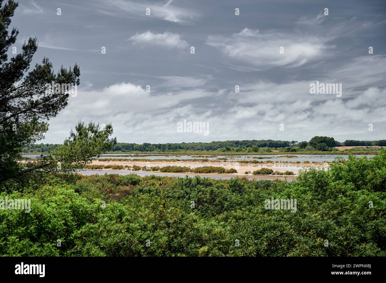 Salzseen auf Mallorca, Salines de Llevant, Cap de SES Salines, bedeutet Quelle von Salz, Halophyten, salzresistenten Pflanzen Stockfoto