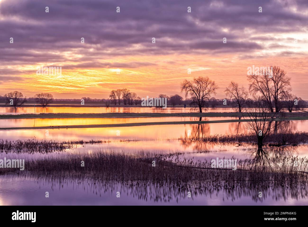 Überflutete Elbwiesen bei Sonnenaufgang in Radegast/Bleckede in der Elbtalaue Stockfoto