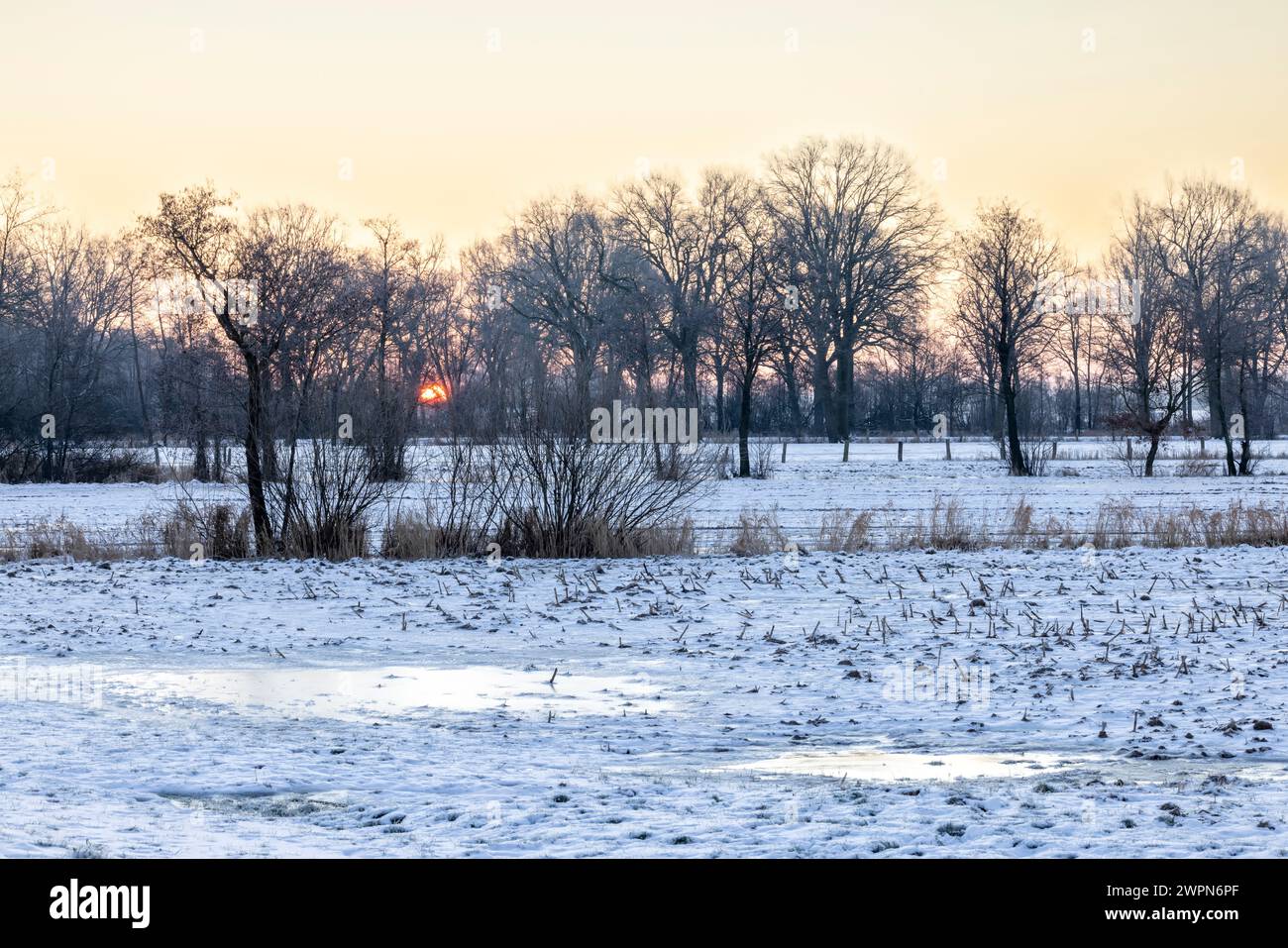 Sonnenaufgang an einem frostigen Wintermorgen über den schneebedeckten Feldern der Elbtalaue bei Wendewisch/Bleckede Stockfoto