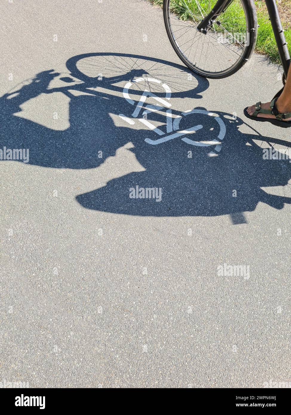 Ein Radfahrer fährt über das Fahrradsymbol auf einem Radweg, Deutschland Stockfoto