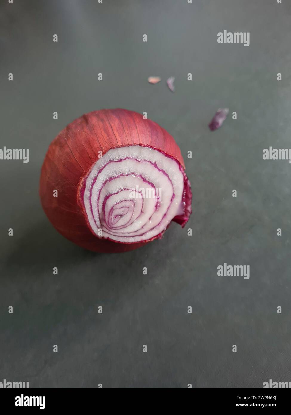 Eine rote Zwiebel mit Querschnitt als Futterstillleben Stockfoto
