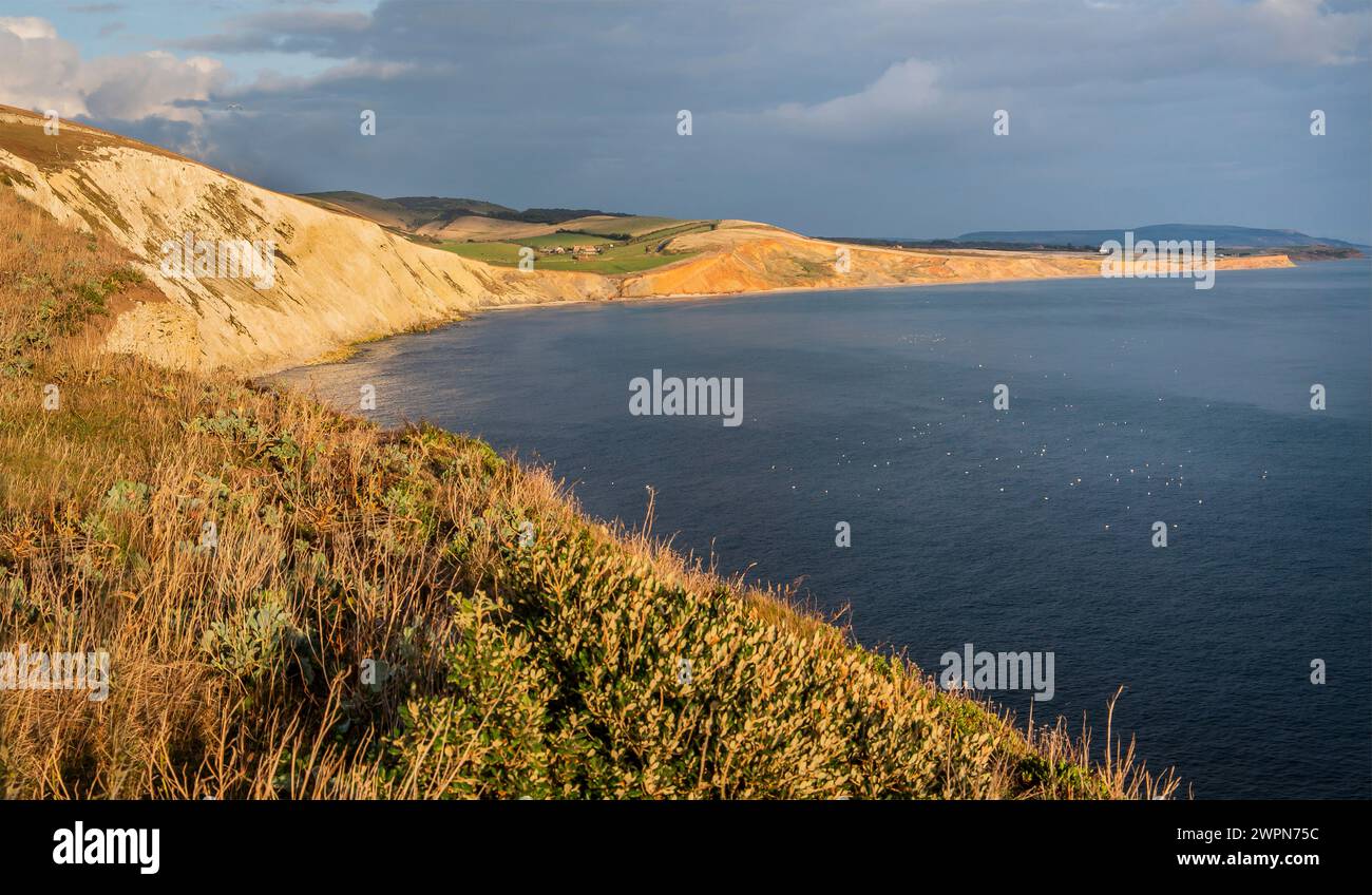 Steile Küste in der Abendsonne an der Freshwater Bay. Süßwasser, Isle of Wight, Hampshire, Großbritannien, England Stockfoto