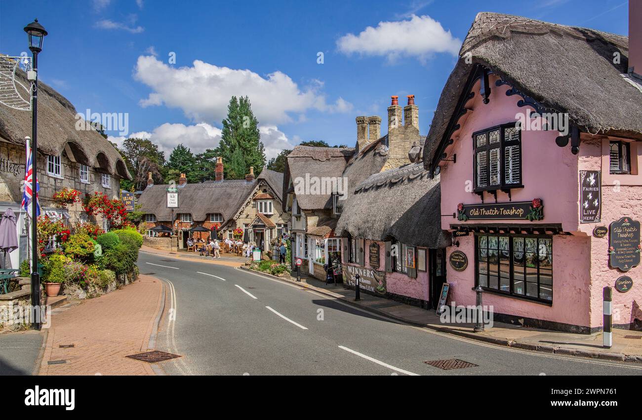 Reetgedeckte Gästehäuser in The Old Village, Shanklin, Isle of Wight, Hampshire, Großbritannien, England Stockfoto
