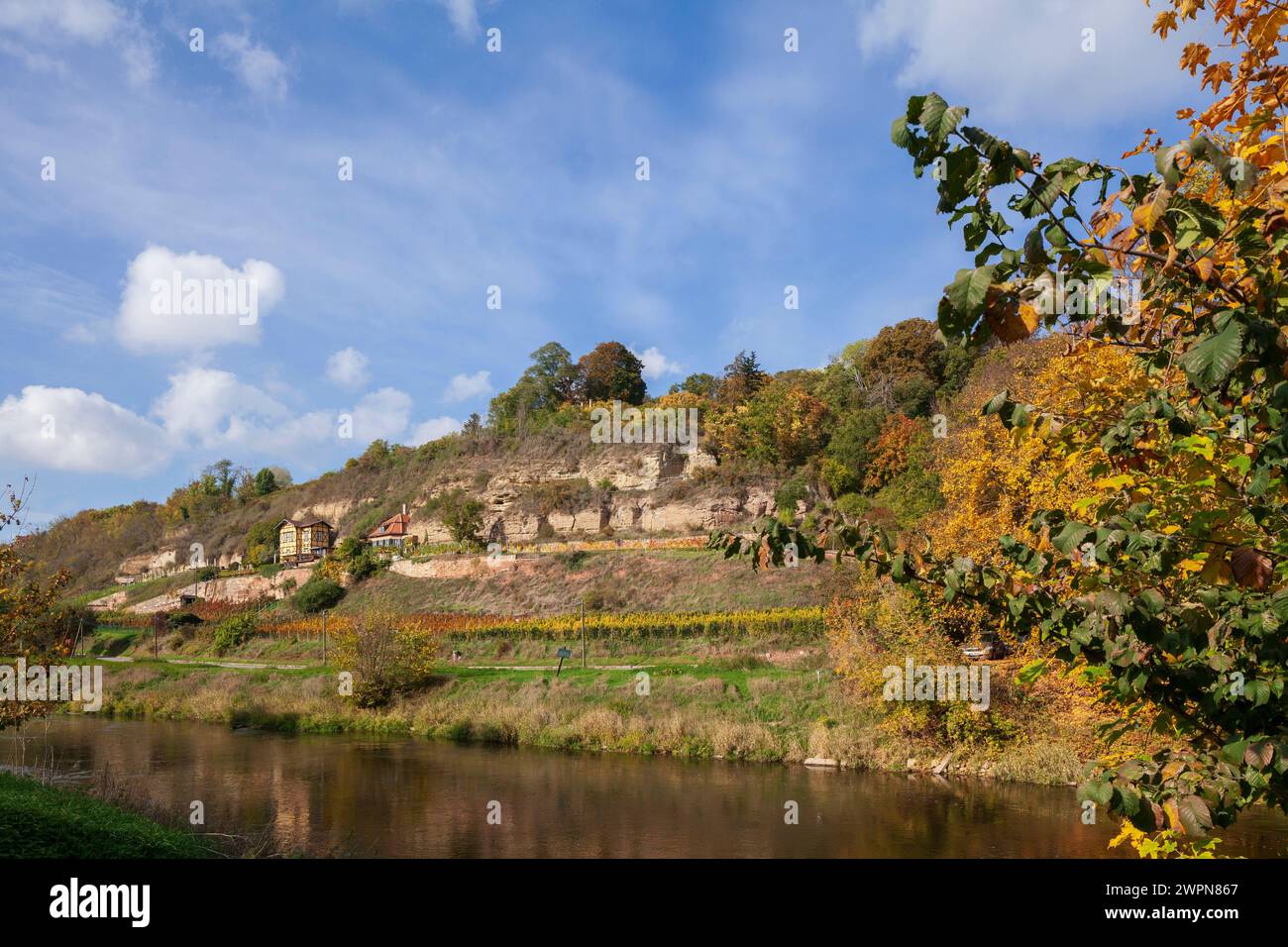 Weinberge, Blütengrund, Naumburg, Sachsen-Anhalt, Deutschland, Europa Stockfoto