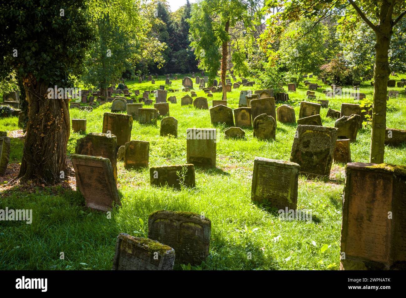 Jüdischer Friedhof in Worms Stockfoto