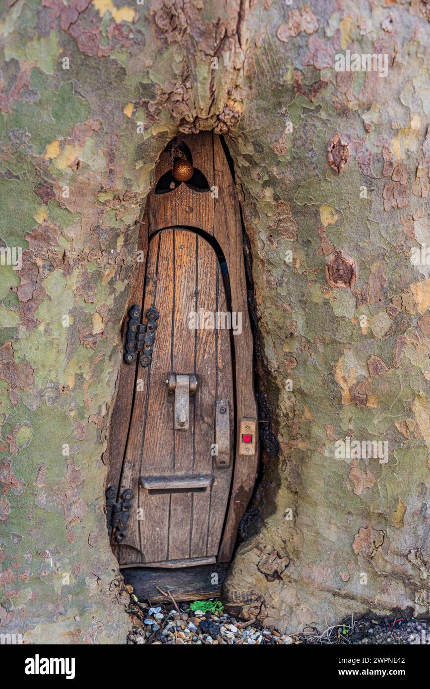 Feentür in einem Baum am St Thomas's Square, Monmouth, Monmouthshire Wales: Phillip Roberts Stockfoto