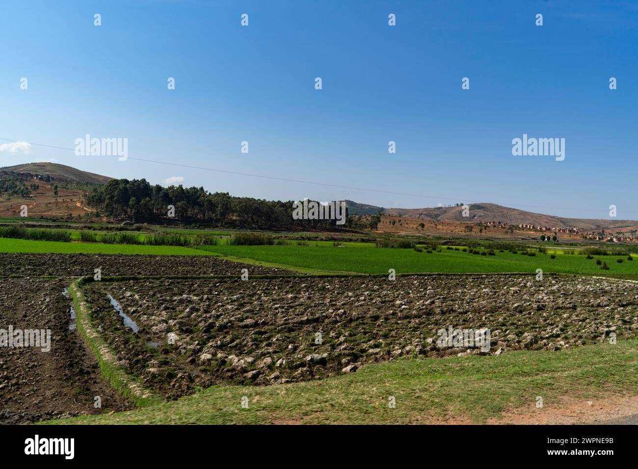 Reisfelder, Antsoatany, Antsirabe II, Vakinankaratra, Madagaskar Stockfoto