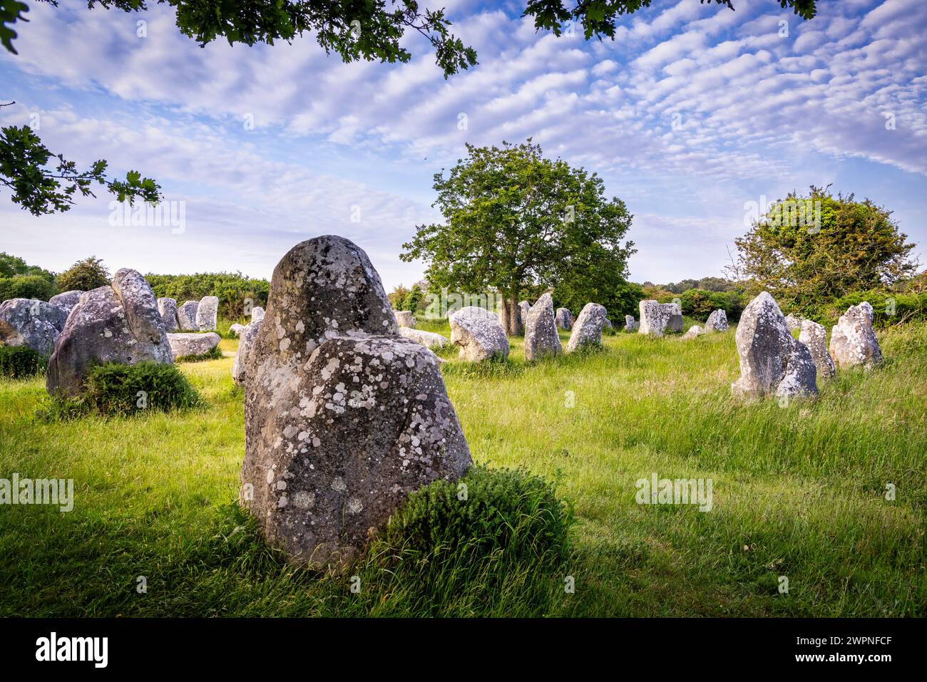 Menhire in Erdeven, Morbihan, Bretagne Stockfoto