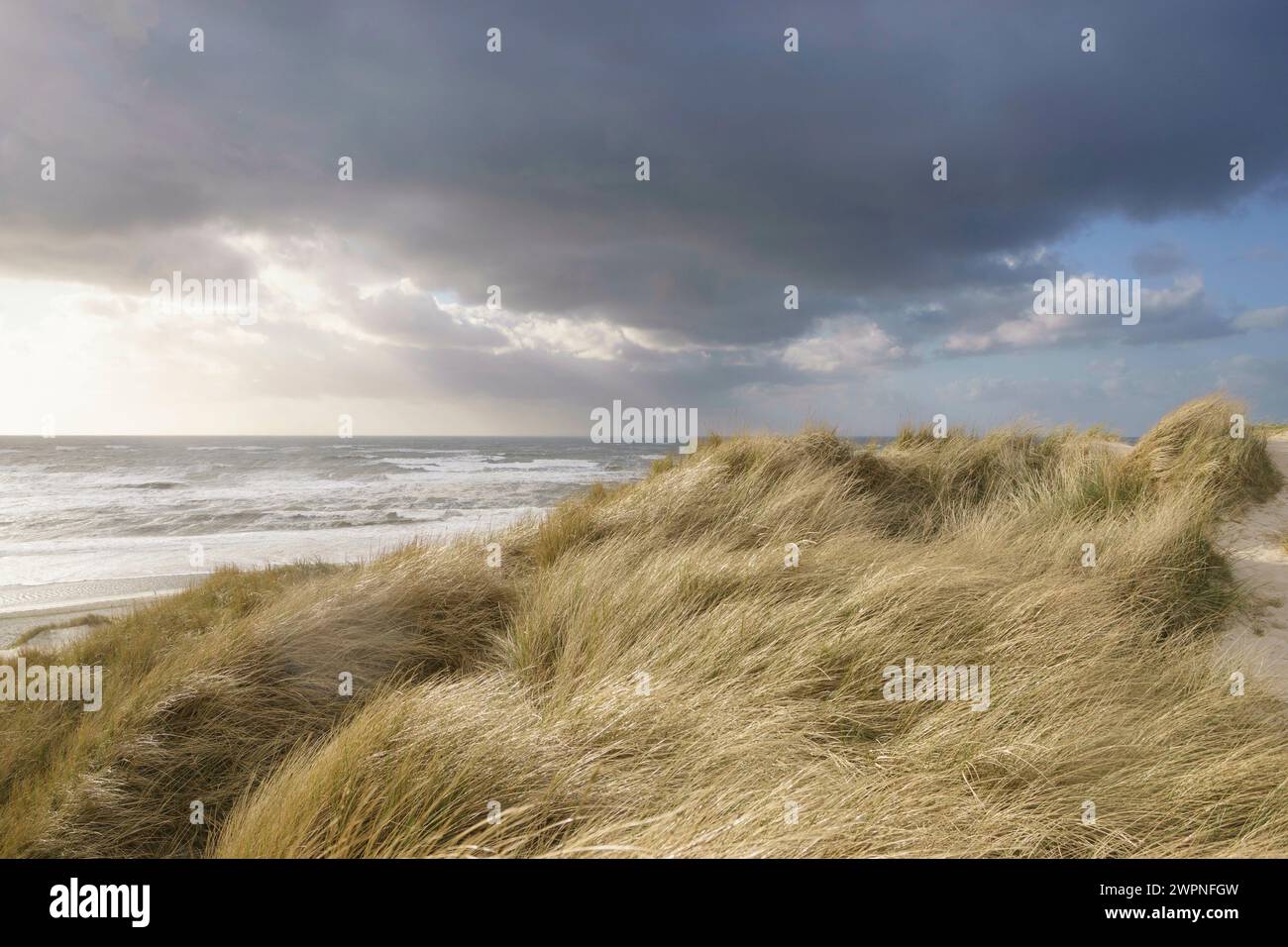 Dünenlandschaft am Meer mit Wellen und Wolken, Fokus im Vordergrund Stockfoto