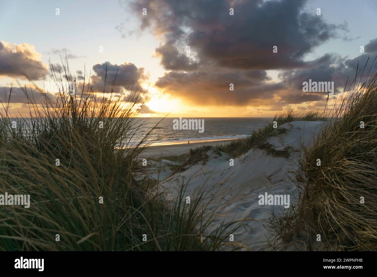 Sonnenuntergang, Küste, Strand, Meer, Dänemark, Fokus im Vordergrund Stockfoto