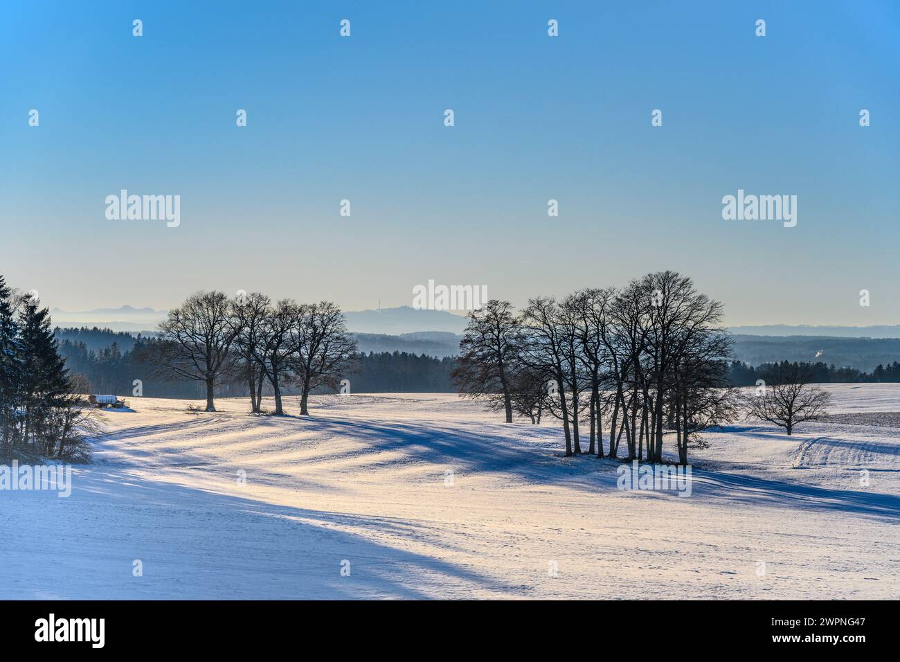 Deutschland, Bayern, Tölzer Land, Münsing, Winterlandschaft bei Attenkam, Blick nach Westen mit Hohen Peißenberg Stockfoto