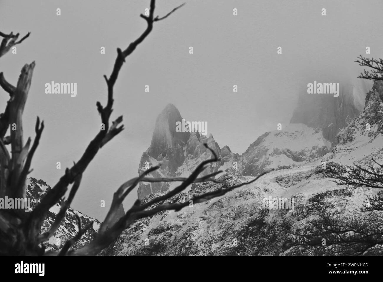 Die Berge Patagoniens im Winter. Stockfoto