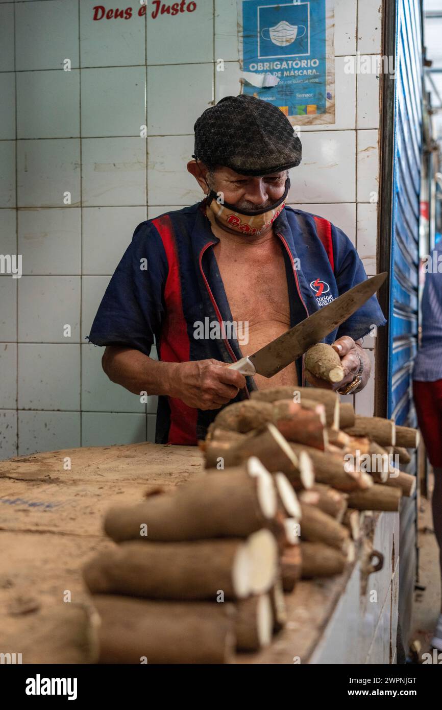 Manaus - brasilianischer Regenwald, Bootstour auf dem Amazonasgebiet auf einem Boutique-Schiff (MS Janganda) - Flussfahrt Stockfoto
