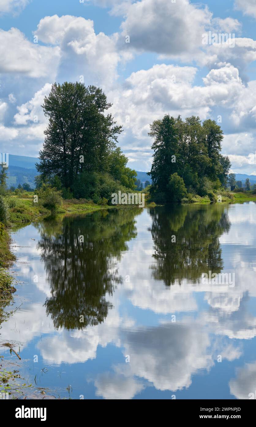 Alouette River Dyke Path and Tree Reflections. Ein Deichpfad entlang des Alouette River in Pitt Meadows an einem Sommertag. Stockfoto