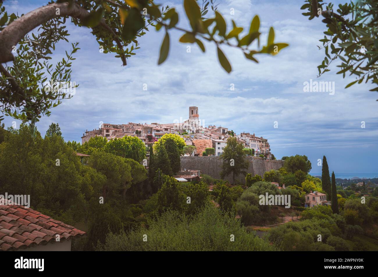 Blick auf das mittelalterliche Stadtzentrum von Saint Paul du Vence, Provence-Alpes-Cote d'Azur in Südfrankreich, eingerahmt von Olivenzweigen im Vordergrund Stockfoto