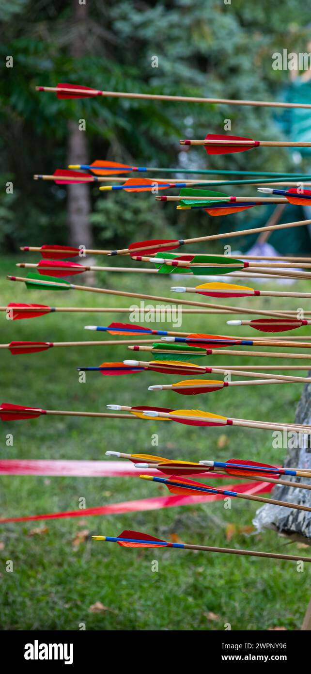 Erfolgreiches Konzept, alle Goldpfeile auf Ziel, Bogenschießen-Sport. Stockfoto