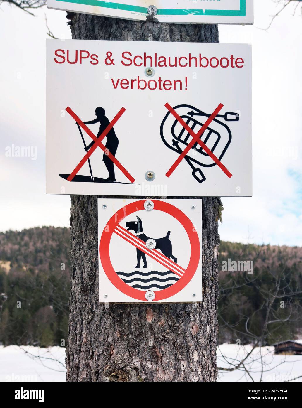 Verbotsschild, keine Hunde im Wasser, Verbot von SUPs und Schlauchbooten auf dem Ferchensee Stockfoto