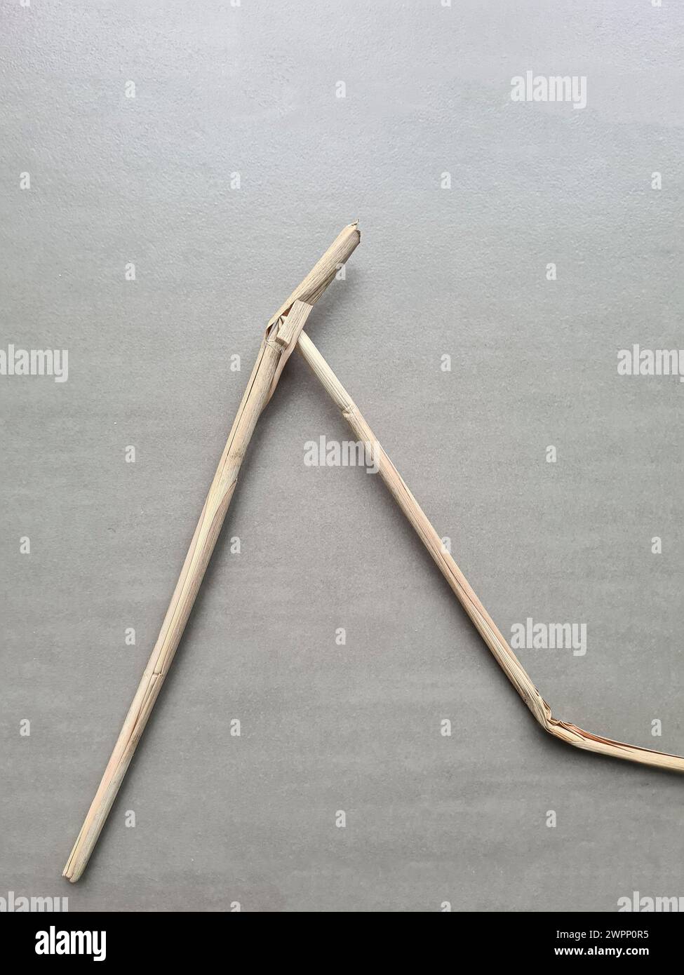 Der getrocknete Zweig wird gebogen und bildet eine abstrakte Linie Stockfoto