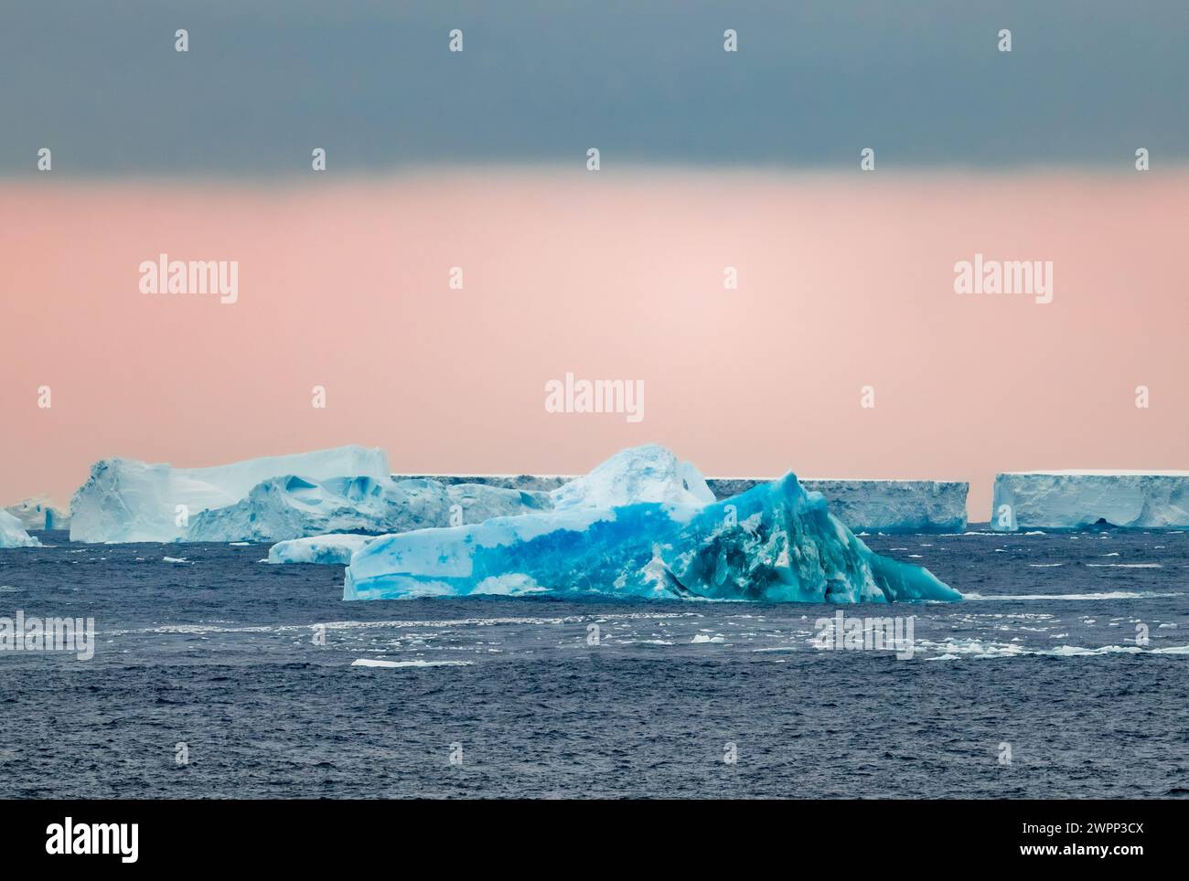 Blauer Eisberg im rosa Schein des Sonnenuntergangs. Antarktis. Stockfoto