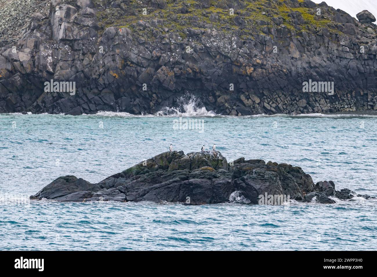 Dunkle vulkanische Felsen an der Küste der Antarktis. Stockfoto