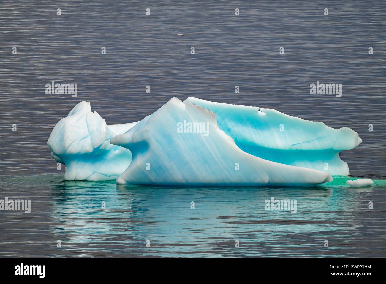 Faszinierende Formen und Farben des Eisbergs entlang der Küste der antarktischen Halbinsel. Stockfoto