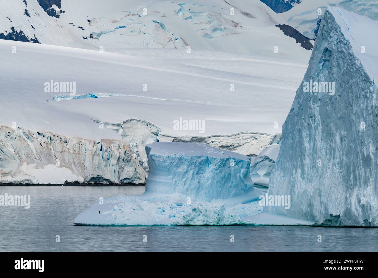 Ein einsamer Kaiserpinguin (Aptenodytes forsteri) auf einem Eisberg an der Küste der Antarktis. Stockfoto