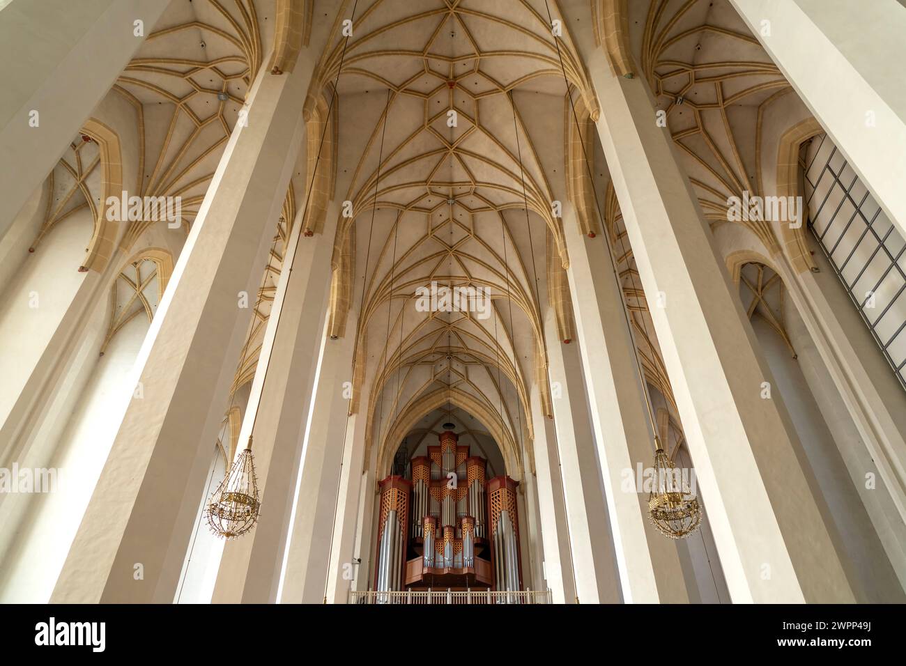 Kirchendecke und Orgel der Frauenkirche in München, Bayern, Deutschland, Europa Stockfoto