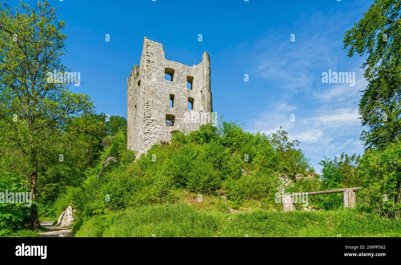 Bösingen - Herrenzimmern, Burgruine Herrenzimmern, eine Burg der Freiherren später Grafen von Zimmern. Stockfoto