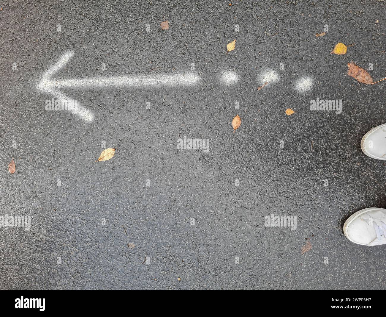 Weißer Pfeil nach links und drei weiße Punkte auf grauem Asphaltgrund im Regen, regendurchtränkte Fahrbahn mit Schildern, Deutschland Stockfoto