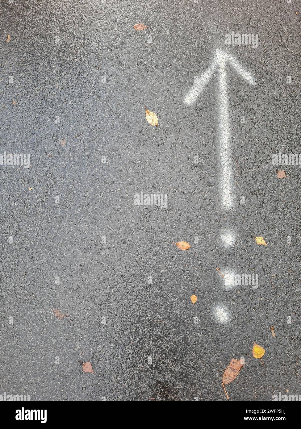 Weißer Pfeil nach oben und drei weiße Punkte auf grauem Asphaltgrund im Regen, regengetränkte Fahrbahn mit Schild, Deutschland Stockfoto