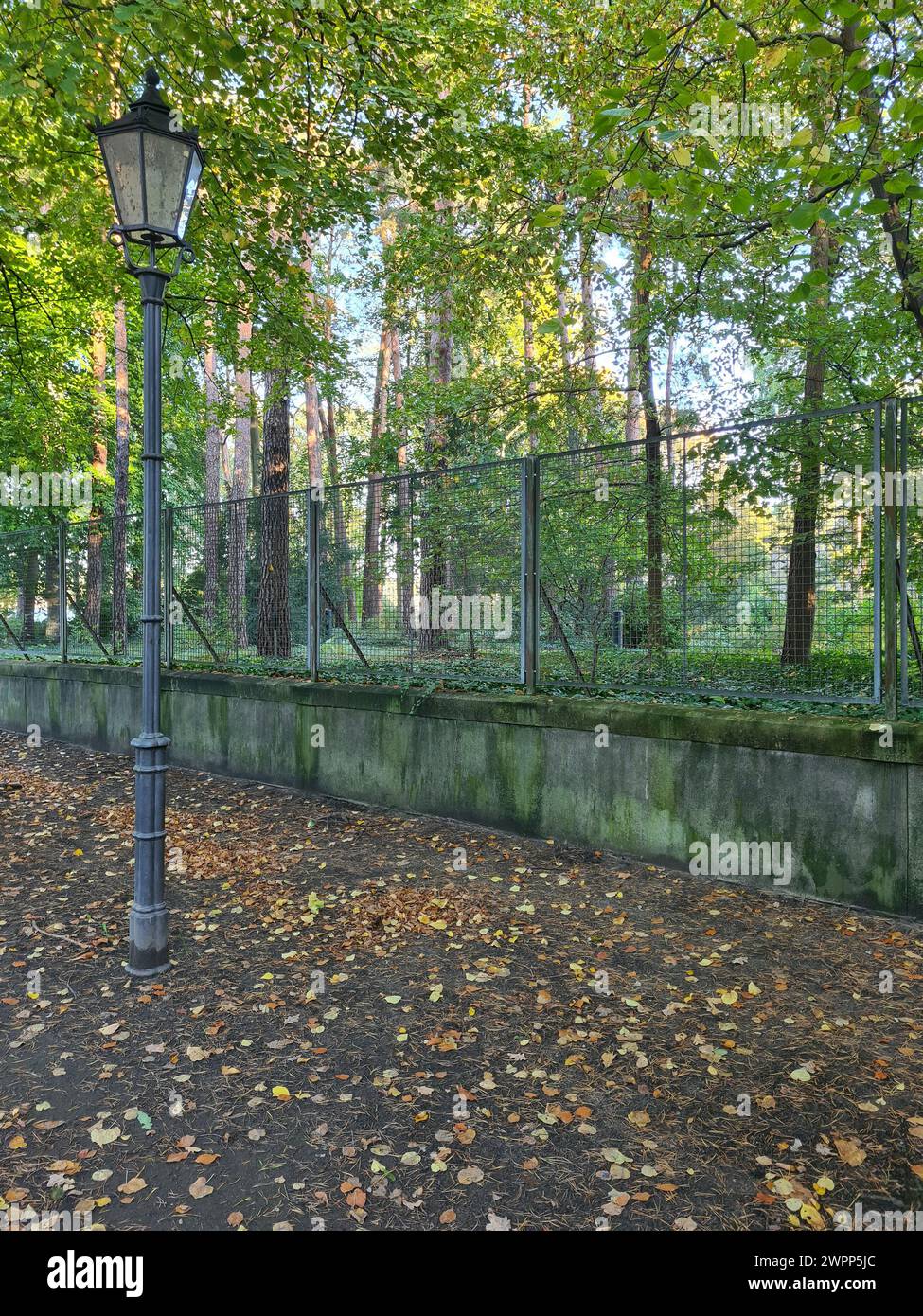 Eine alte Straßenlaterne auf einem Bürgersteig mit Herbstlaub vor einer Grünanlage mit Zaun, Wannsee, Berlin Stockfoto