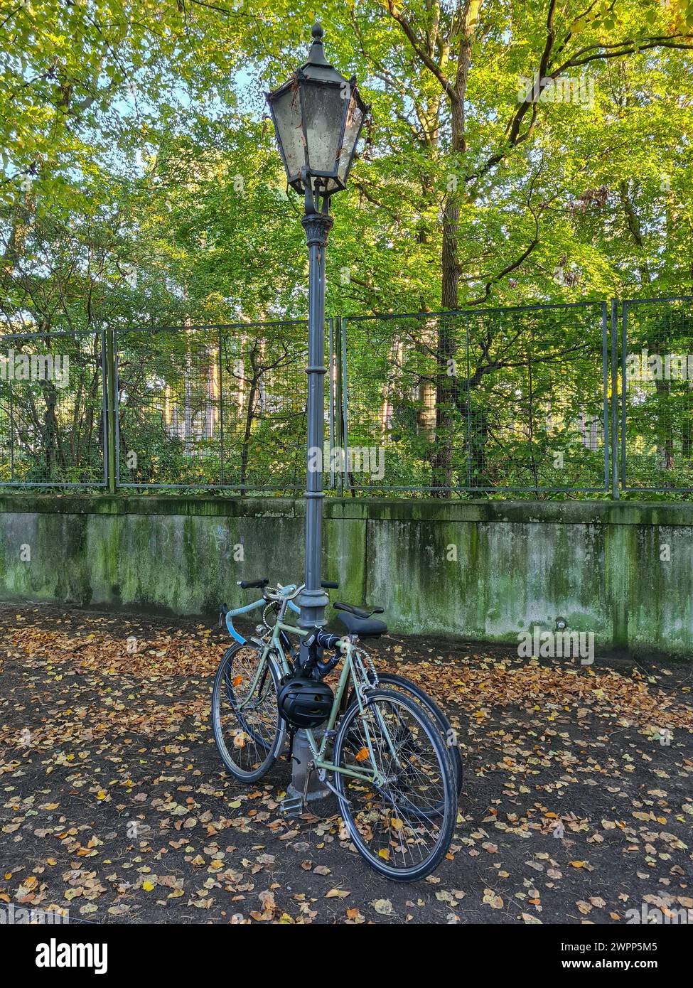 Zwei Fahrräder stehen an einer alten Straßenlaterne auf einem Bürgersteig mit Herbstlaub vor einer Grünanlage mit Zaun, Wannsee, Berlin Stockfoto