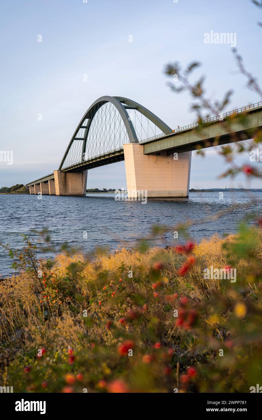 Fehmarnsund-Brücke, Insel Fehmarn, Schleswig-Holstein, Deutschland Stockfoto