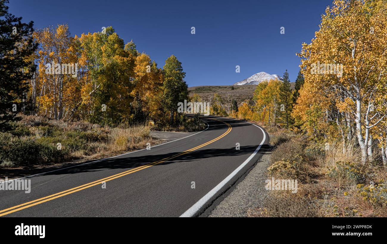 Eine gekrümmte asphaltierte Straße führt in Nevada zum Berg in der Ferne. Stockfoto