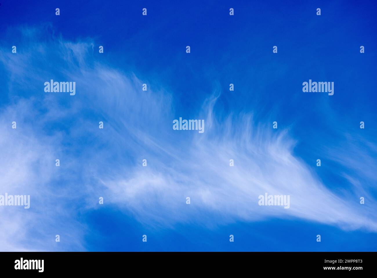 Cirrus-Wolken, die vom Wind vor blauem Himmel gekräuselt werden, Kondensstreifen vorbeiziehender Flugzeuge Stockfoto